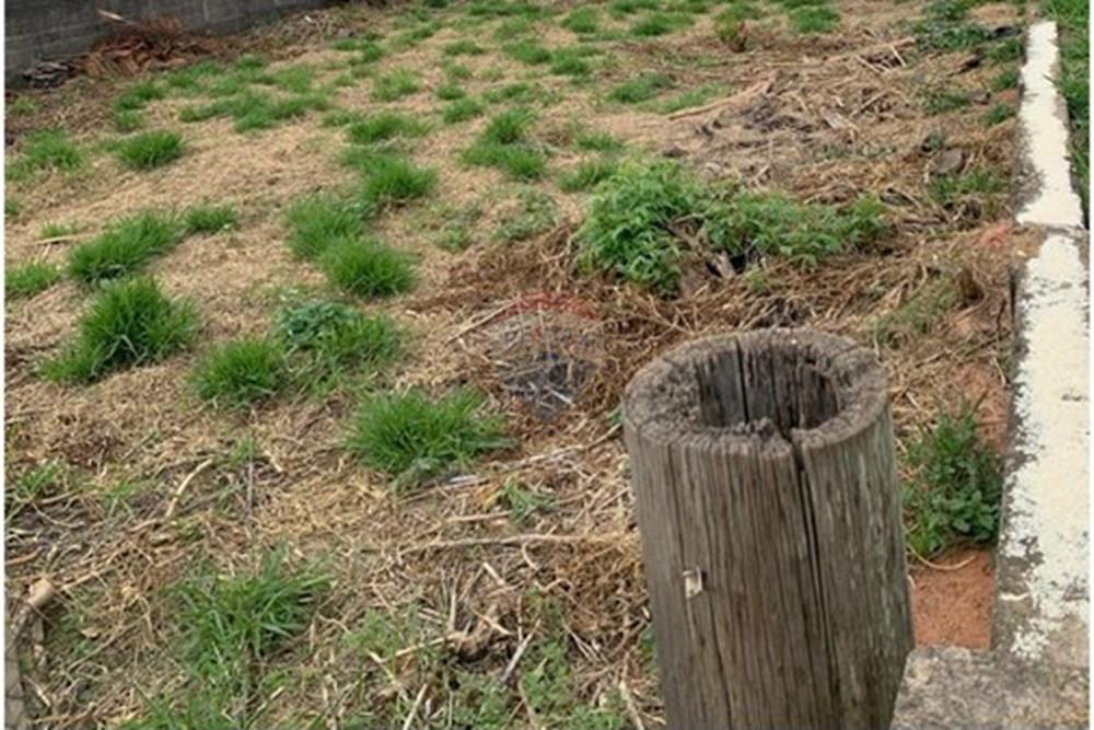 Terreno - Venda - Mogi Mirim , São Paulo - bd91b177-dd6d-45a3-bace-af6283ce6692.jpg - 690751048-120