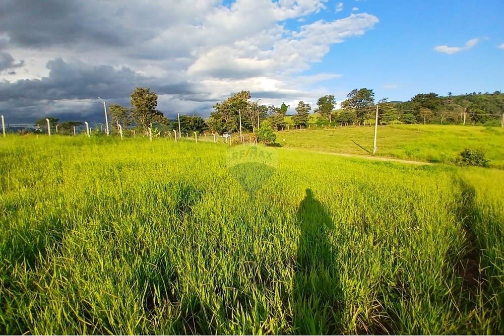 Chácara / Sítio / Fazenda - Venda - Itapira , São Paulo - WhatsApp Image 2025-04-08 at 15.05.02.jpeg - 690291039-39