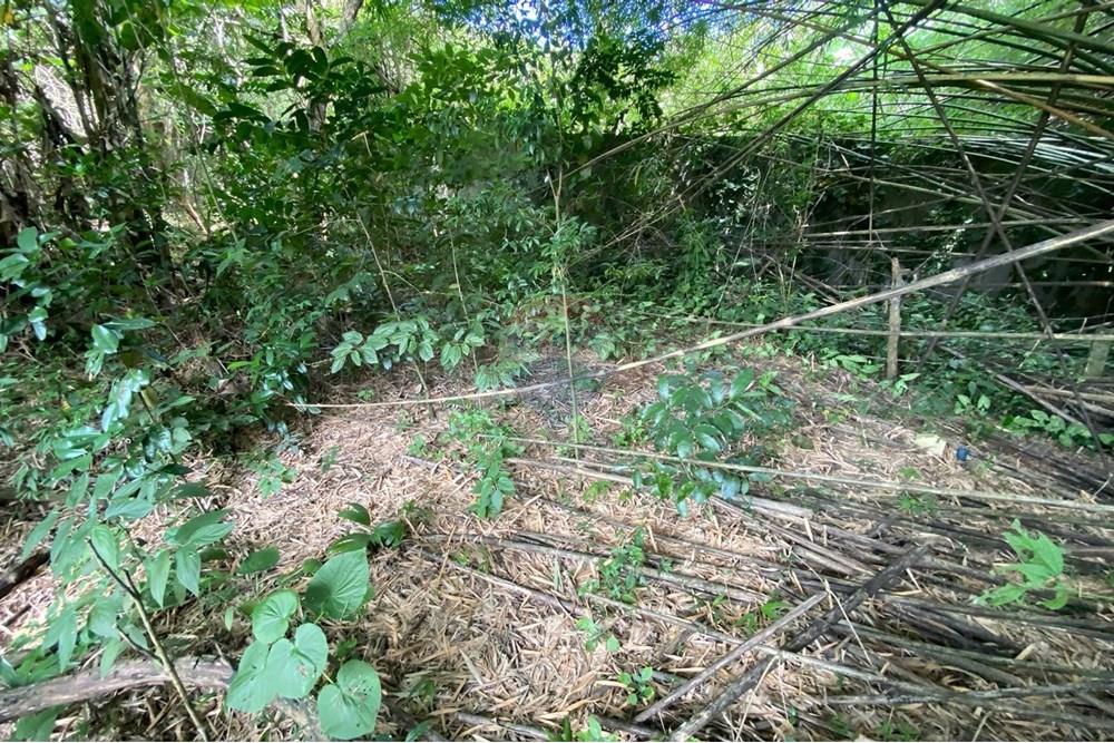 Terreno - Venda - Mairiporã , São Paulo - 18c50d67-6c28-43ac-81ab-a3a86f55f641.jpeg - 690041107-11