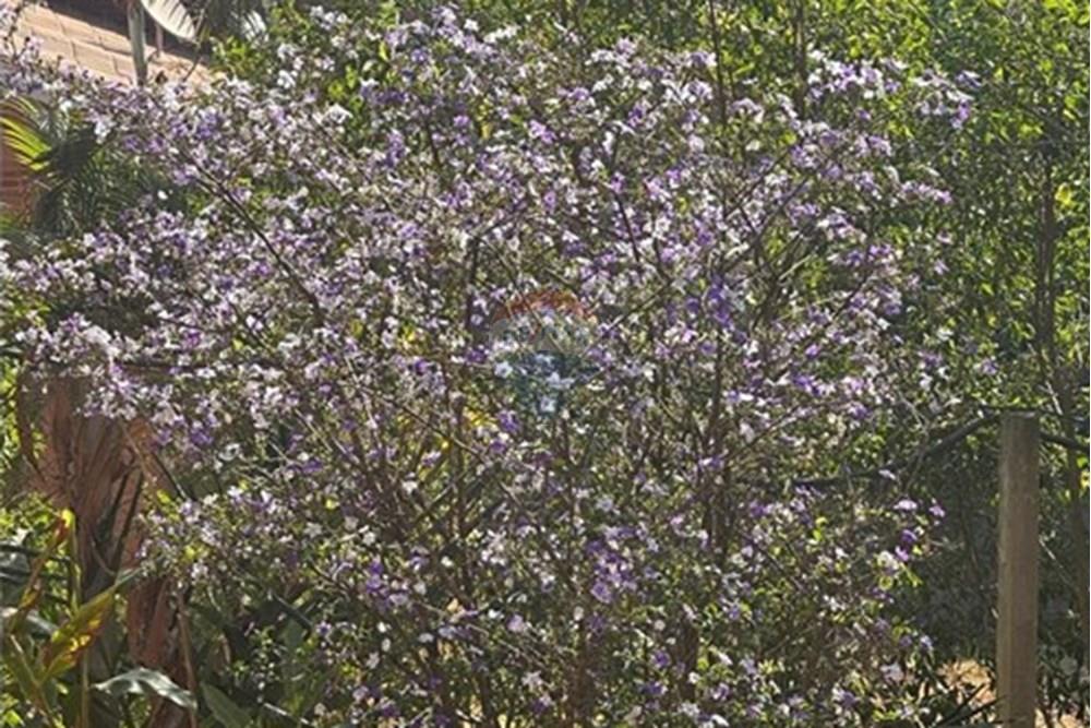 Chácara / Sítio / Fazenda - Venda - Jarinu , São Paulo - WhatsApp Image 2025-10-17 at 09.45.28 (2).jpeg - 690661027-107