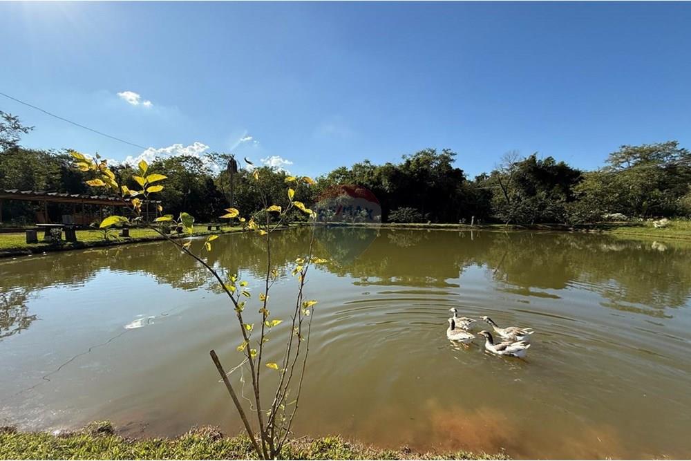 Chácara / Sítio / Fazenda - Venda - Itapira , São Paulo - WhatsApp Image 2025-06-03 at 18.53.12.jpeg - Jardim Externo - 690521014-122