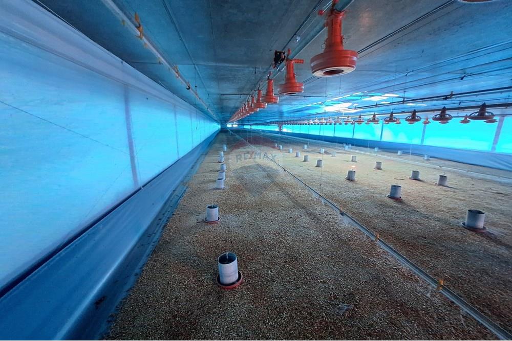 Chácara / Sítio / Fazenda - Venda - Itapira , São Paulo - 20250626_103611.jpg - 690751048-290