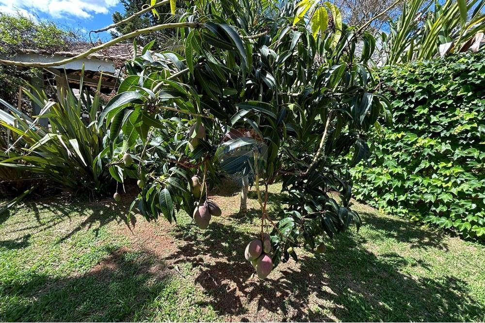 Casa de Condomínio - Alugar - Bragança Paulista , São Paulo - 1216.jpg - 690041085-23