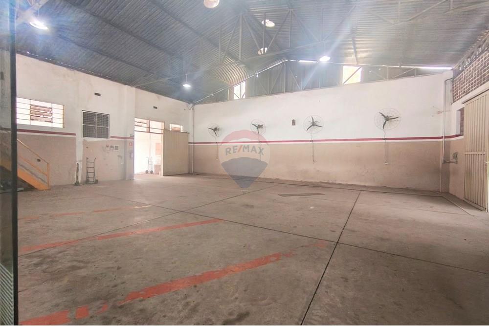 Galpão - Alugar - Mogi Mirim , São Paulo - MVIMG_20251009_132441~2.jpg - 690751092-20