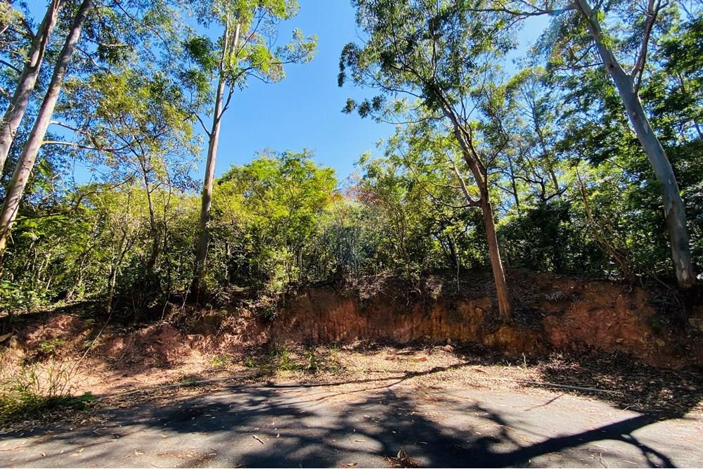 Terreno - Venda - Atibaia , São Paulo - IMG_0075.jpg - 690921107-2