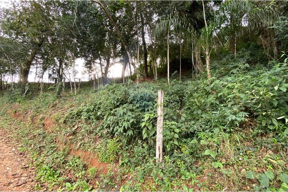 Terreno - Venda - Socorro , São Paulo - IMG-20250713-WA0556.jpg - 690291077-224