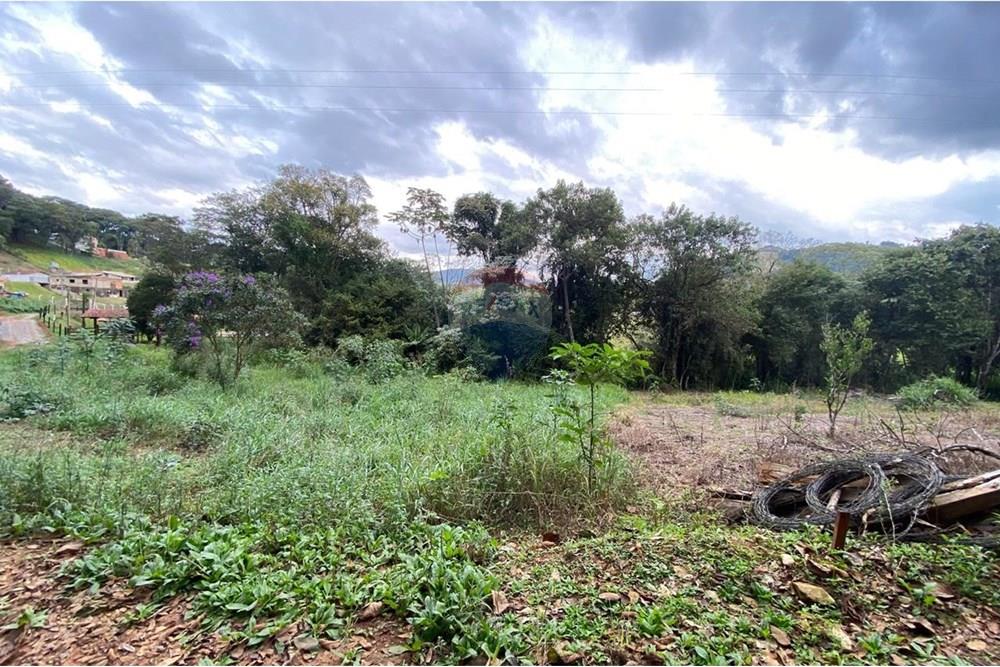 Terreno - Venda - Socorro , São Paulo - IMG-20250713-WA0548.jpg - 690291077-224