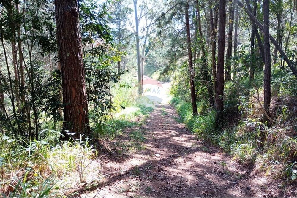 Chácara / Sítio / Fazenda - Venda - Serra Negra , São Paulo - WhatsApp Image 2025-01-14 at 18.09.43 (3).jpeg - 690681090-34