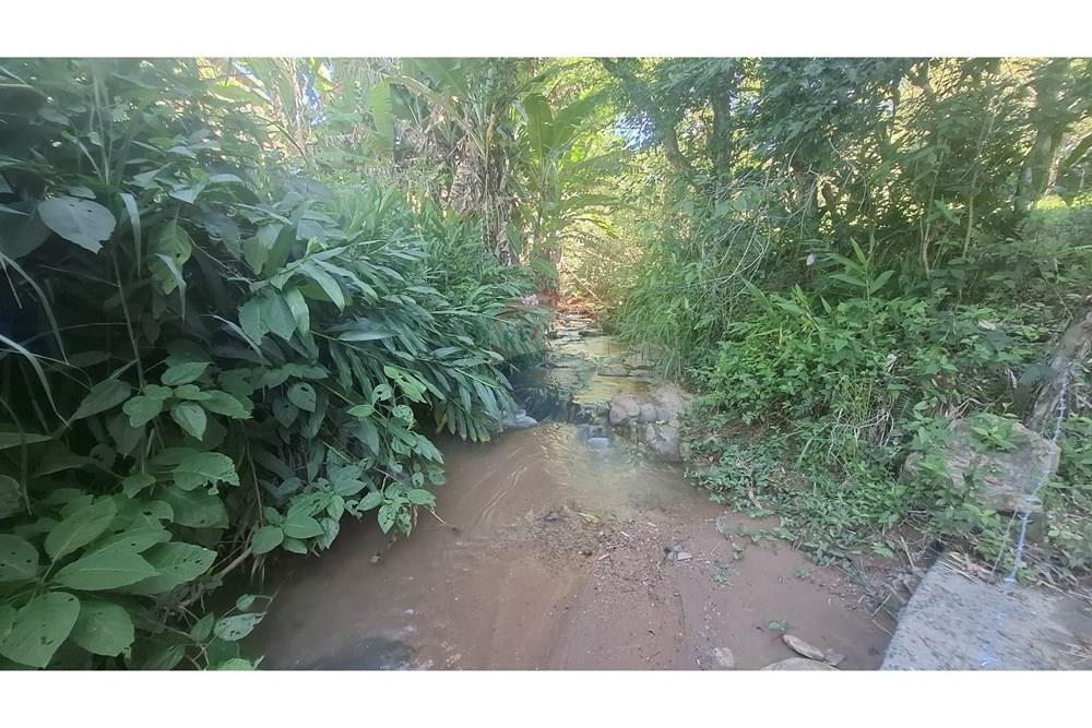 Fazenda - Venda - Serra Negra , São Paulo - 20250320_150102.jpg - 690291056-28