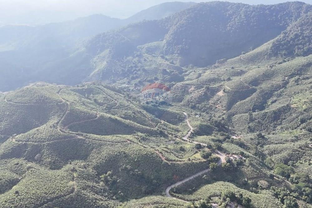 Fazenda - Venda - Miracatu , São Paulo - WhatsApp Image 2025-06-02 at 19.51.27.jpeg - 690061038-8