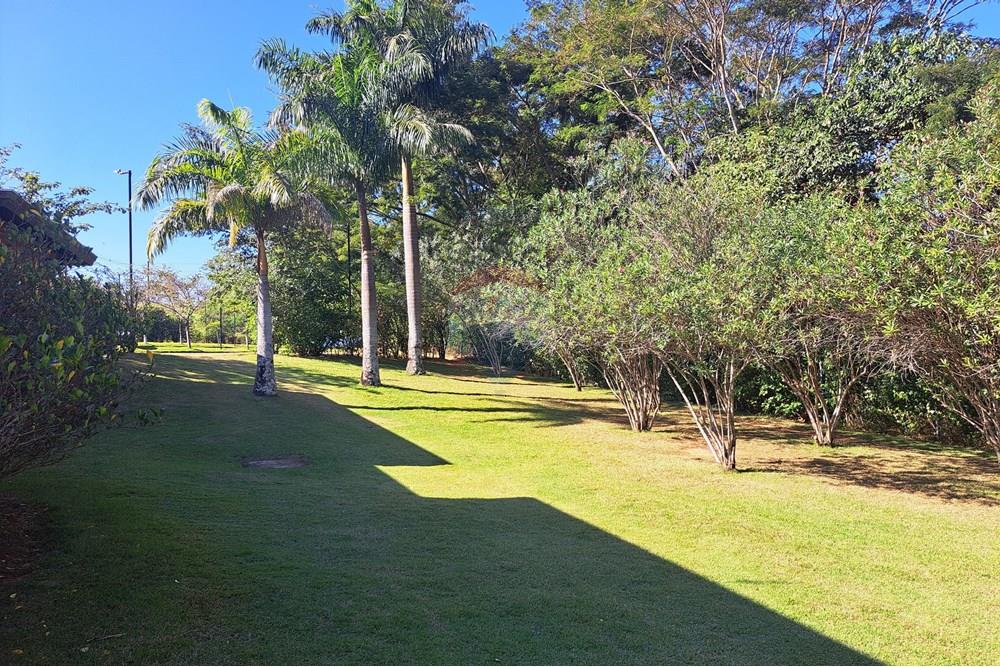 Terreno - Venda - Campinas , São Paulo - Pomar 1.jpg - 690681070-43