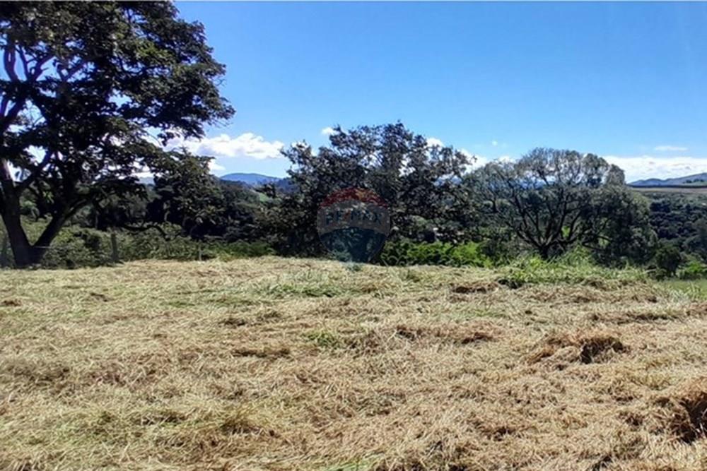 Terreno - Venda - Socorro , São Paulo - 03d36eab-09bc-46e6-90ae-0bddd8d4ef25.jpeg - 690041146-23