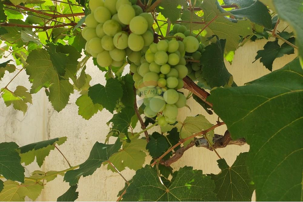 Casa - Venda - Cosmópolis , São Paulo - IMG_20231123_152546990.jpg - 690831005-1070