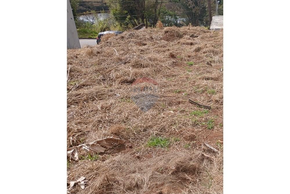 Terreno - Venda - Bragança Paulista , São Paulo - 20250810_101902.jpg - 690141085-20