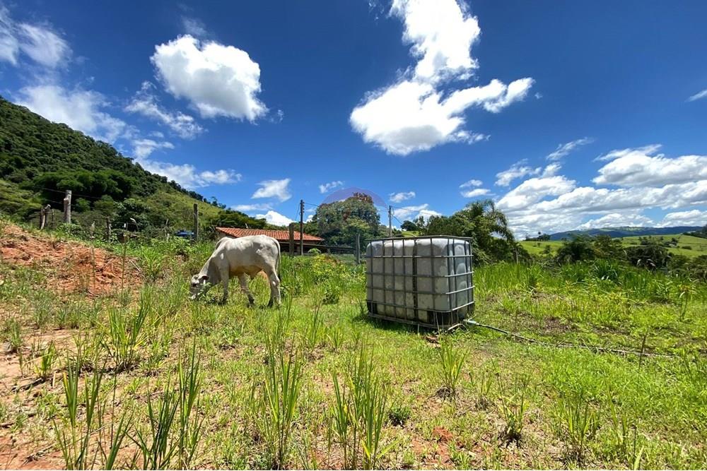 Chácara / Sítio / Fazenda - Venda - Lindóia , São Paulo - Imagem do WhatsApp de 2025-02-25 à(s) 19.33.42_2b053d46.jpg - 690291077-223