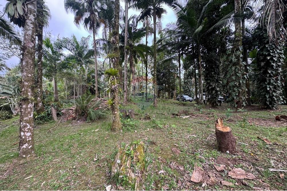 Terreno - Venda - Peruíbe , São Paulo - IMG-20251017-WA0097.jpg - 691111009-61