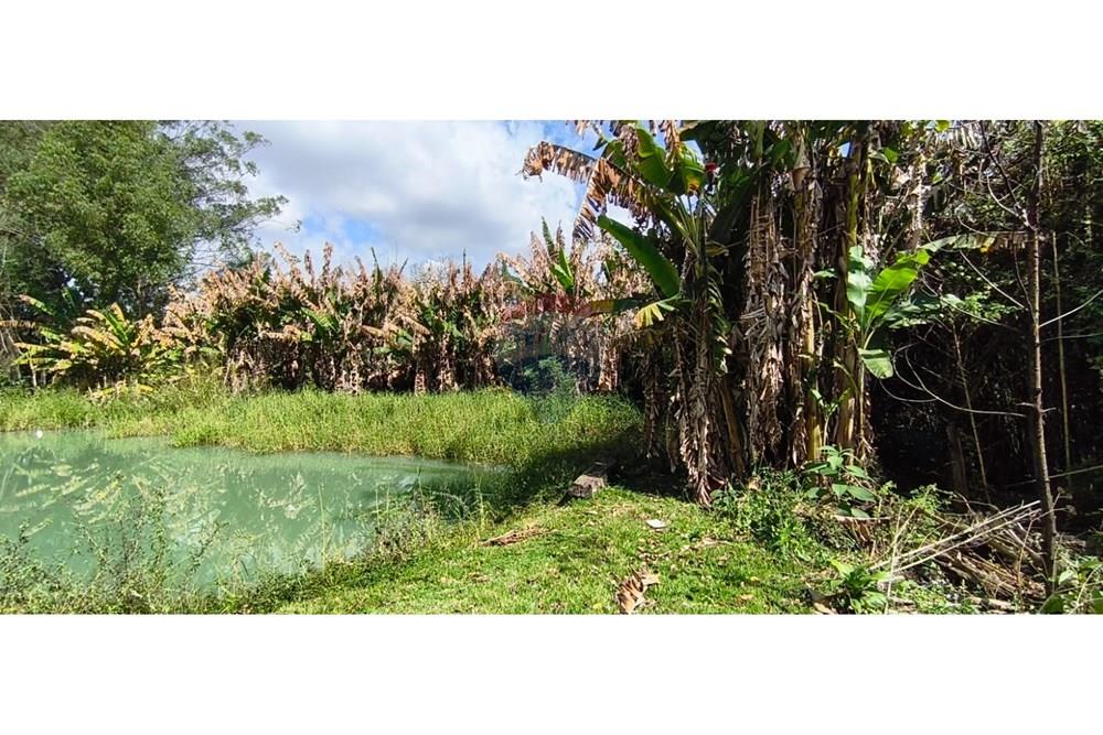 Chácara / Sítio / Fazenda - Venda - Mogi Guaçu , São Paulo - 38.jpeg - 690521018-208