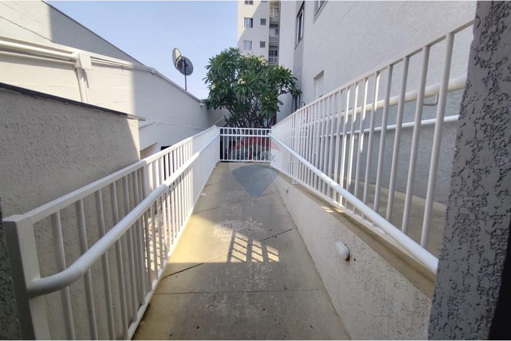 Apartamento - Alugar - Paulínia , São Paulo - 91be3c97-d9b2-4920-88c4-635dbfe23d03.jpg - 690511042-359