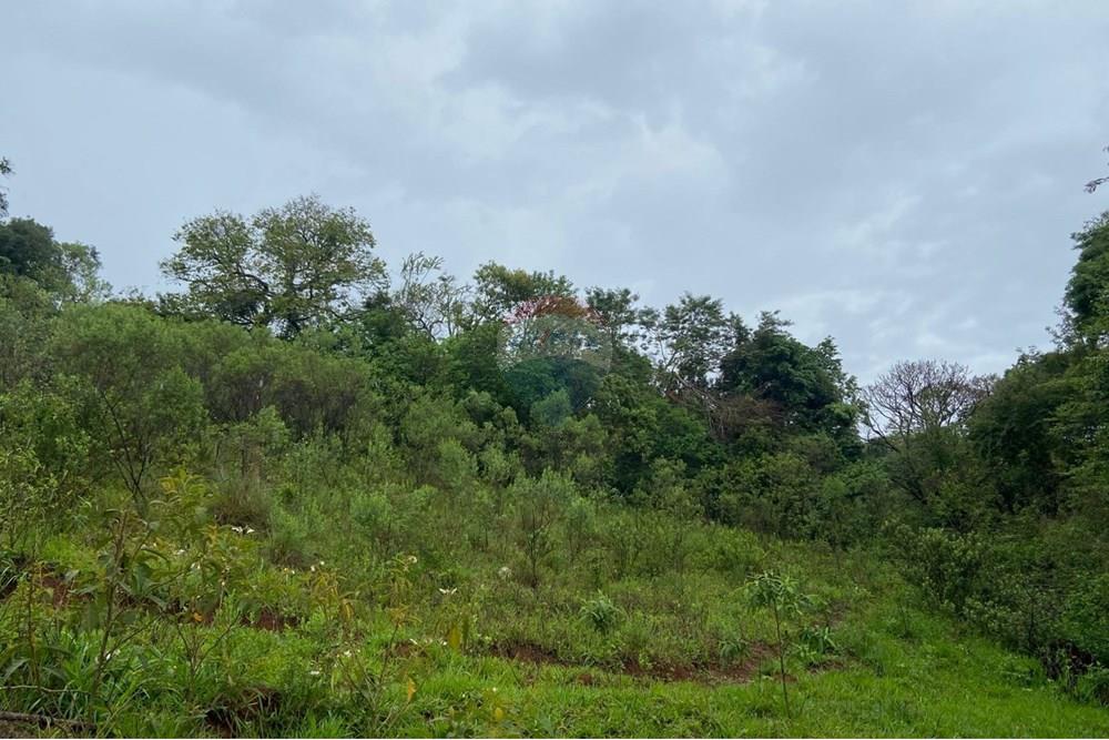 Terreno - Venda - Bragança Paulista , São Paulo - 3848a923-2142-4579-84b8-05c86b890dcf.jpeg - 690041107-22