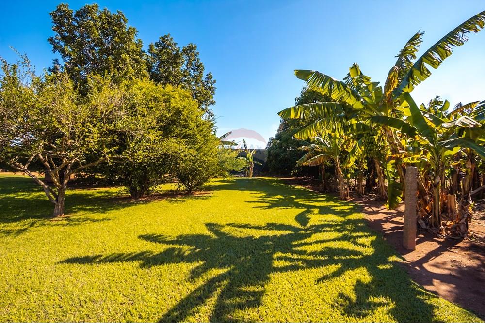 Chácara / Sítio / Fazenda - Venda - Indaiatuba , São Paulo - IMG_8136.jpg - Quintal - 690471119-51