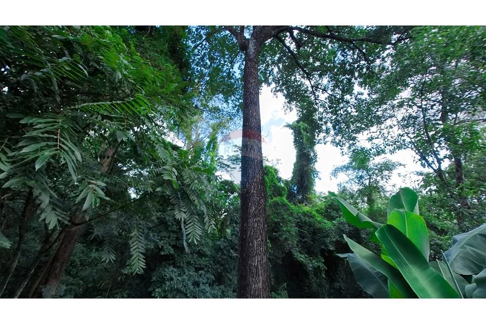 Chácara / Sítio / Fazenda - Venda - Araras , São Paulo - IMG_20250115_155430_00_367_PureShot.jpg - 690691016-236