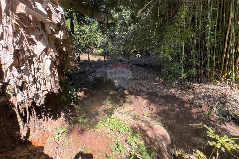 Chácara / Sítio / Fazenda - Venda - Joanópolis , São Paulo - photo_5019343269280201182_y.jpg - 690041001-120