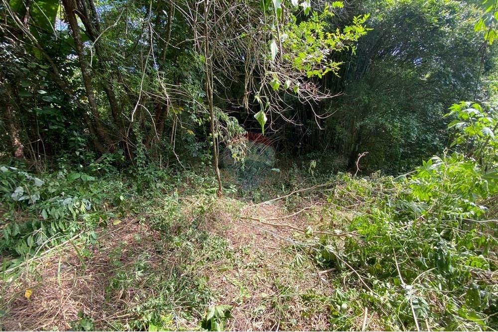 Terreno - Venda - Mairiporã , São Paulo - 57fc2d3a-535a-4525-ad34-55ea76c4e329.jpeg - 690041107-11