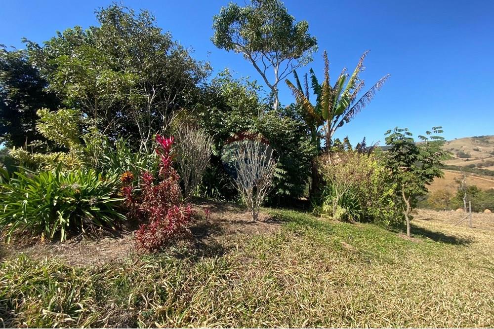 Chácara / Sítio / Fazenda - Venda - Monte Sião , Minas Gerais - WhatsApp Image 2025-07-18 at 18.06.50.jpeg - Jardim Externo - 690291077-219