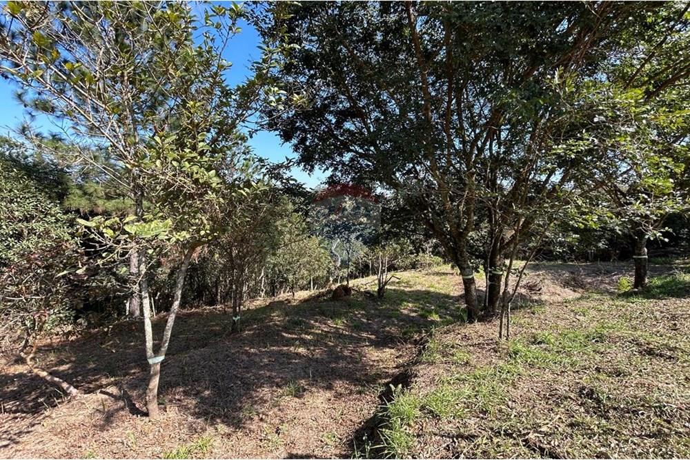 Terreno - Venda - Jarinu , São Paulo - IMG-20250819-WA0010.jpg - 690661027-137