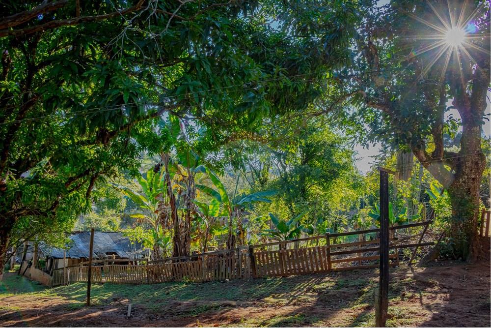 Chácara / Sítio / Fazenda - Venda - Atibaia , São Paulo - RINF-151.jpg - 690921066-49