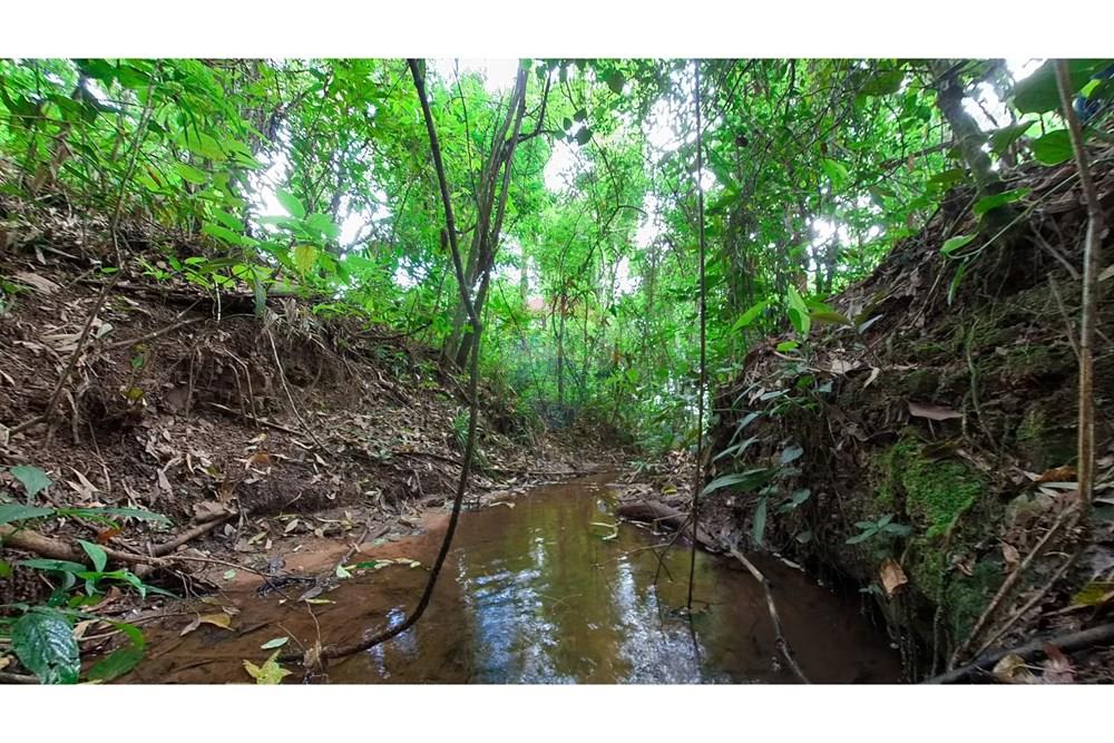 Chácara / Sítio / Fazenda - Venda - Araras , São Paulo - IMG_20250115_161114_00_398_PureShot.jpg - 690691016-236