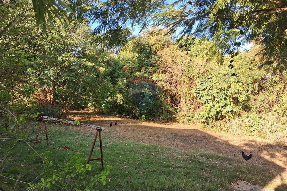 Chácara / Sítio / Fazenda - Venda - Mogi Mirim , São Paulo - chacara paola 2.jpeg - 690751036-62