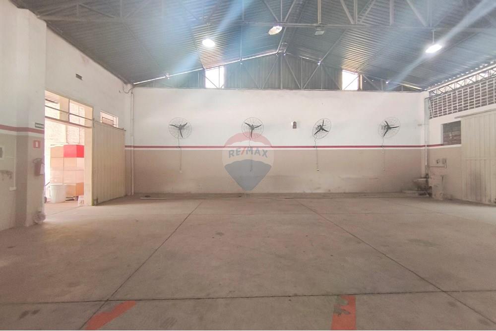 Galpão - Alugar - Mogi Mirim , São Paulo - MVIMG_20251009_134558~2.jpg - 690751092-20