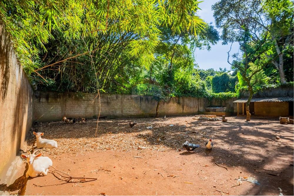 Casa - Venda - Campinas , São Paulo - FOTOS REMAX-73.jpg - 690491062-150