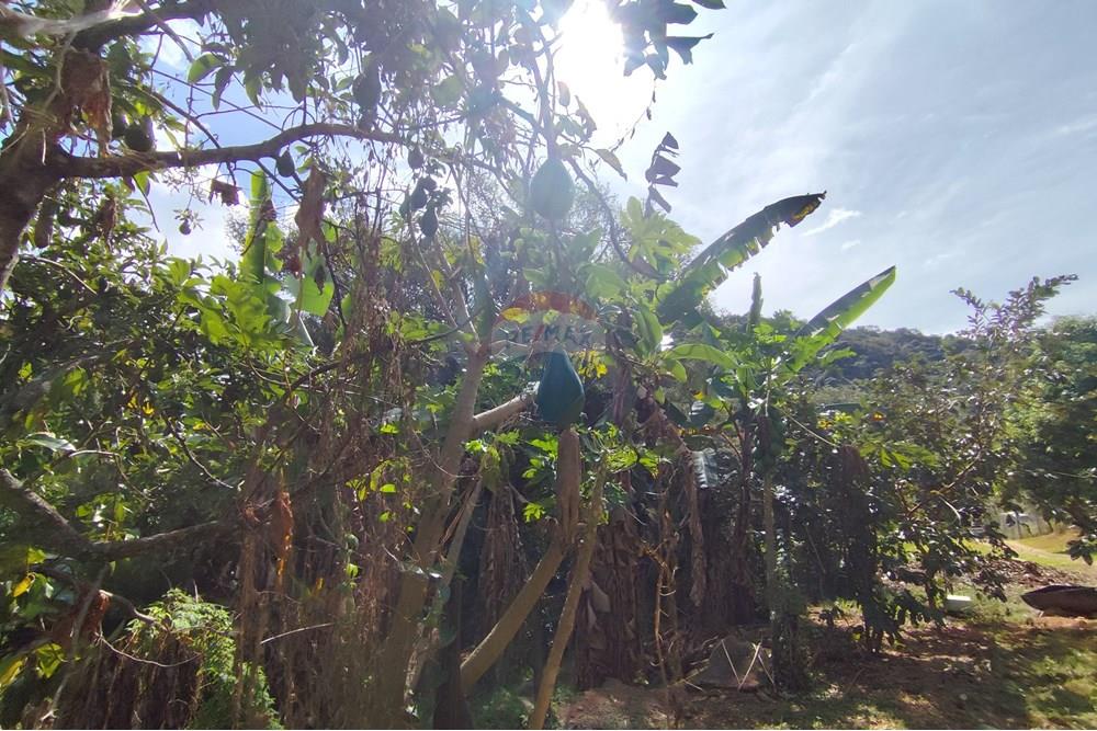 Chácara / Sítio / Fazenda - Venda - Itapira , São Paulo - 1751510168887.jpg - 690291077-251