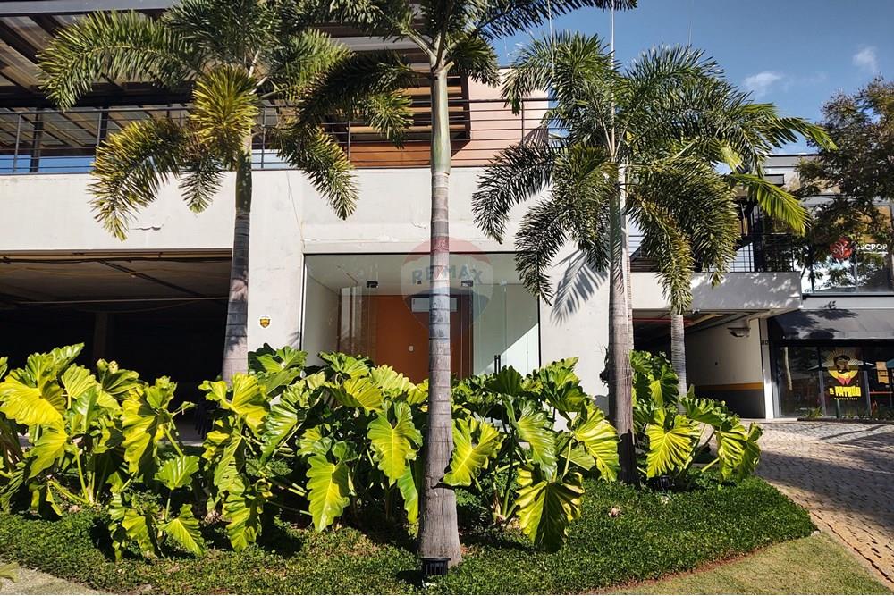 Ponto Comercial/ Loja - Alugar - Campinas , São Paulo - IMG_20250611_143720503_HDR.jpg - 690181001-414