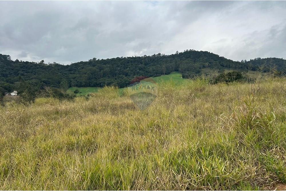 Terreno - Venda - Jarinu , São Paulo - WhatsApp Image 2025-07-04 at 18.07.14 (14).jpeg - 690661027-116