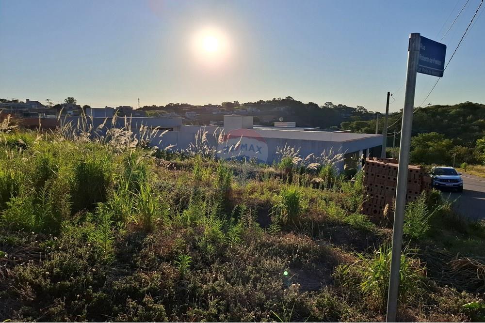 Terreno - Venda - São João da Boa Vista , São Paulo - 20250601_163508.jpg - 690681090-39