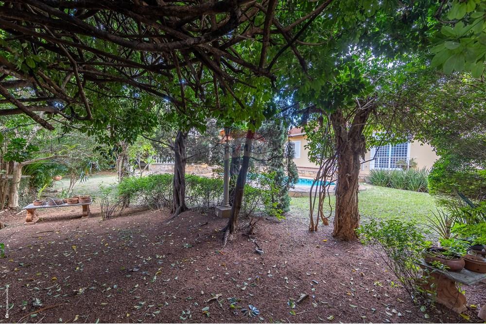 Casa - Venda - Campinas , São Paulo - TKD-1667.jpg - 690681033-92