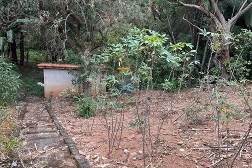 Chácara / Sítio / Fazenda - Venda - Jarinu , São Paulo - WhatsApp Image 2025-10-16 at 13.38.19 (19).jpeg - 690661027-143