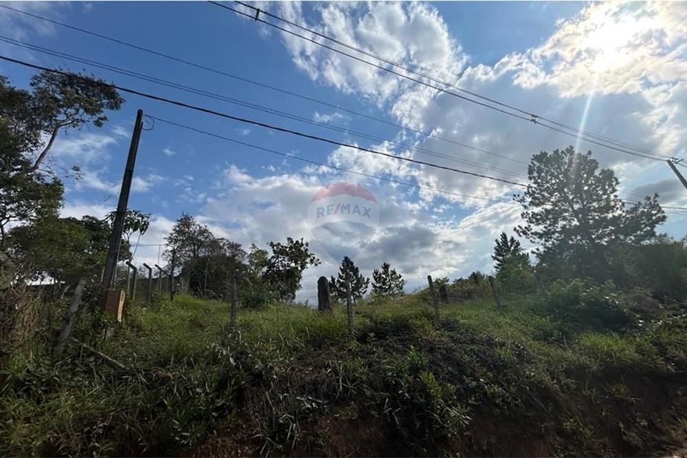 Terreno - Venda - Jarinu , São Paulo - WhatsApp Image 2025-05-30 at 21.36.29 (3).jpeg - 690661027-110