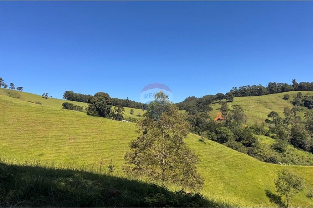 Chácara / Sítio / Fazenda - Venda - Joanópolis , São Paulo - photo_5019343269280201186_y.jpg - 690041001-120