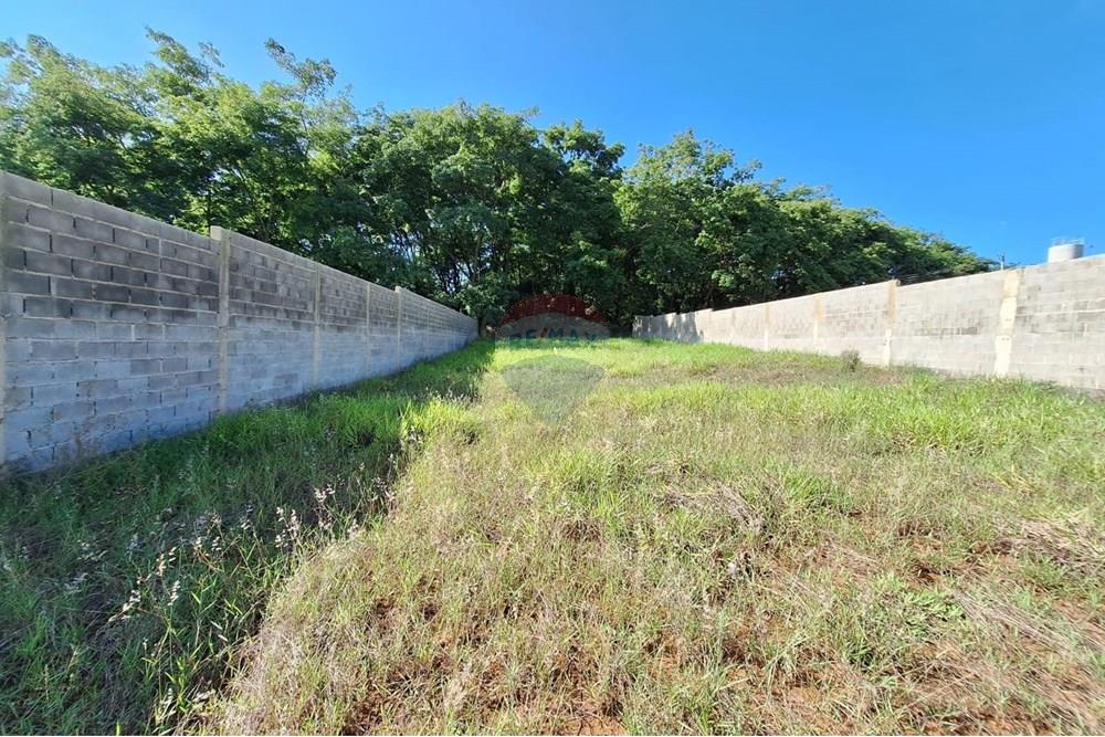 Terreno - Alugar - Mogi Mirim , São Paulo - IMG-20241208-WA0064.jpg - Quintal - 690751048-95