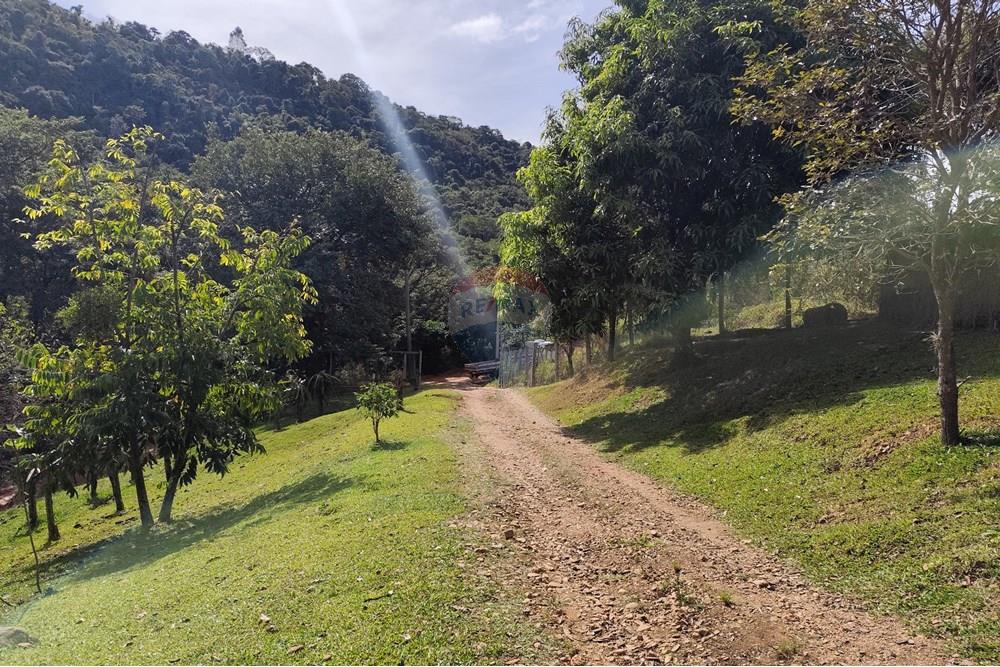 Chácara / Sítio / Fazenda - Venda - Itapira , São Paulo - 1751510168932.jpg - 690291077-251