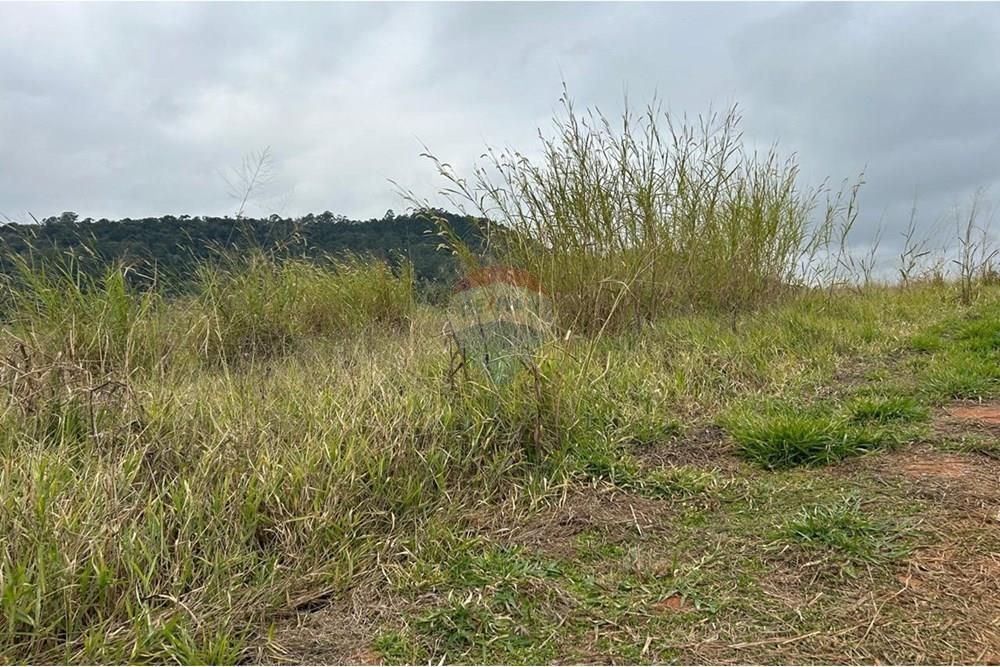 Terreno - Venda - Jarinu , São Paulo - WhatsApp Image 2025-07-04 at 18.07.14 (7).jpeg - 690661027-116