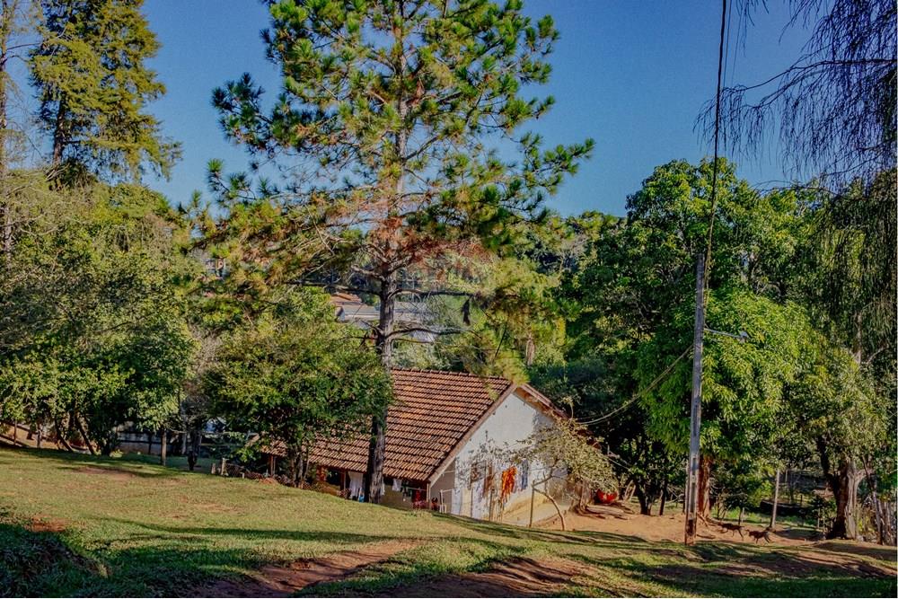 Chácara / Sítio / Fazenda - Venda - Atibaia , São Paulo - RINF-147.jpg - 690921066-49