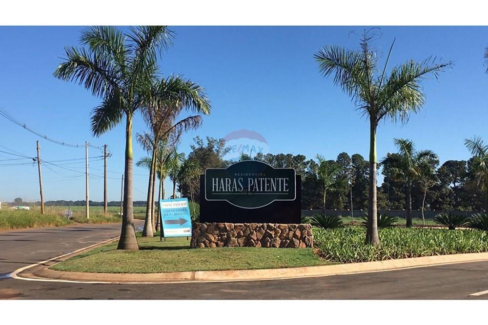 Terreno - Venda - Jaguariúna , São Paulo - IMG-20200131-WA0077.jpg - 690671066-17