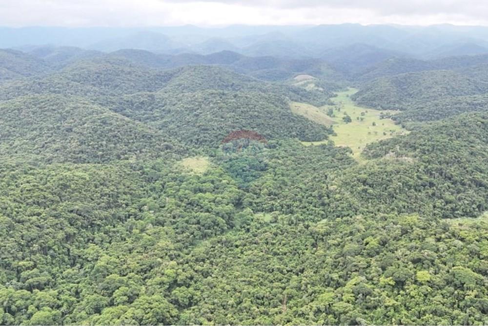 Fazenda - Venda - Miracatu , São Paulo - 80926e90-d493-48ee-ba9f-6998061a50be.jpg - 690061038-5