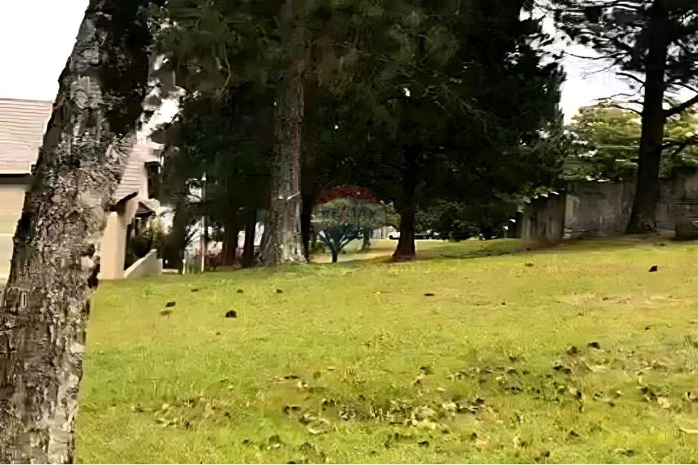 Terreno - Venda - Barueri , São Paulo - 2.jpg - 690951041-16