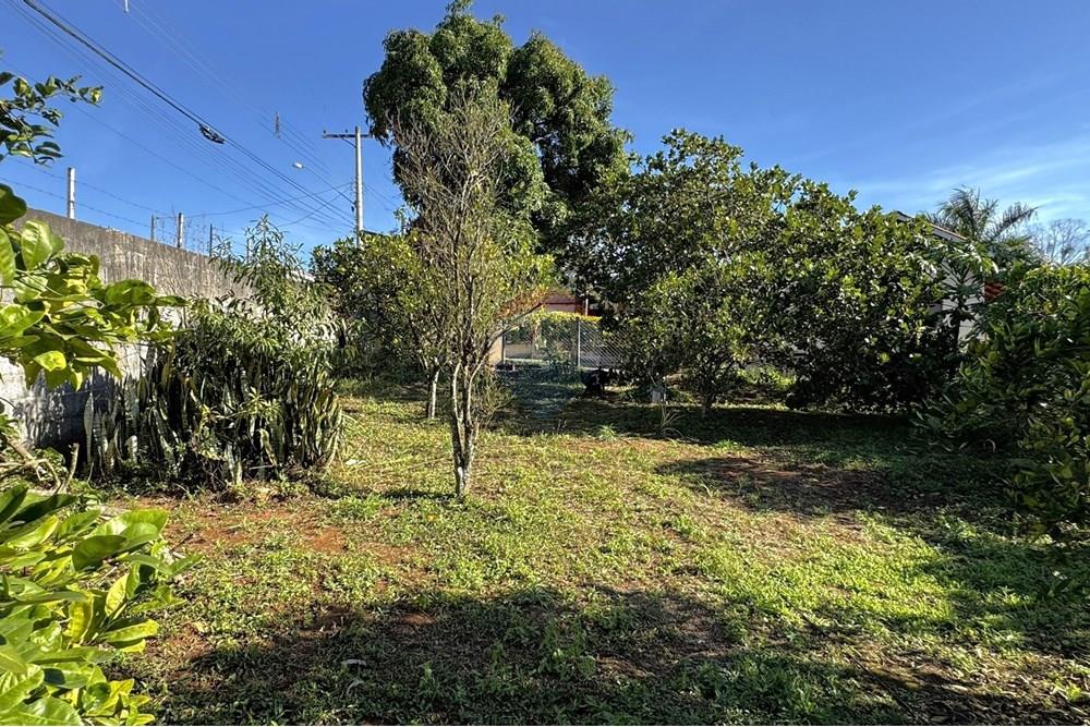 Chácara / Sítio / Fazenda - Venda - Jarinu , São Paulo - z5.JPEG - 691121003-27